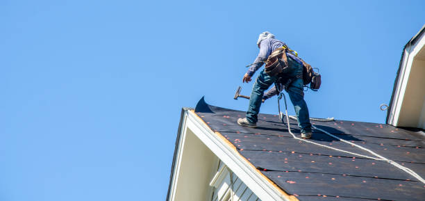 Best Roof Gutter Cleaning  in St John, IN